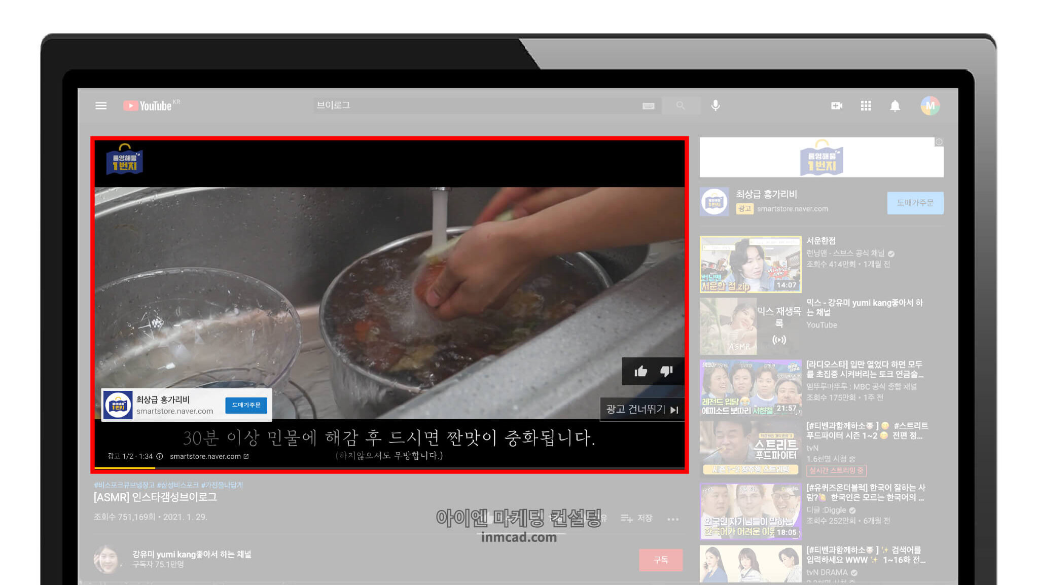 인스트림 광고
