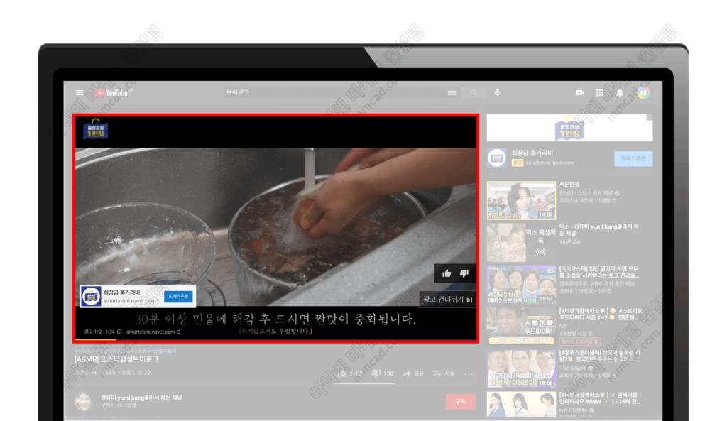 유튜브 광고 예시 건너뛸 수 있는 인스트림