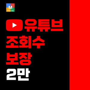 유튜브 2만